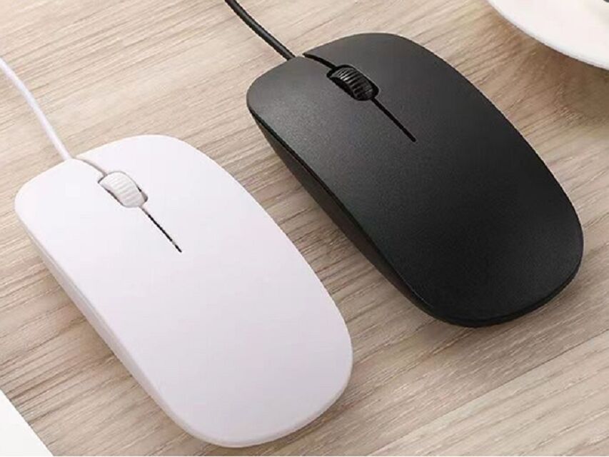 ETEK 3D Ergonomic Wired Mouse,1000 DPI, 46g 가벼운, 1.2M USB 케이블, IC 8733, 검은색/백색